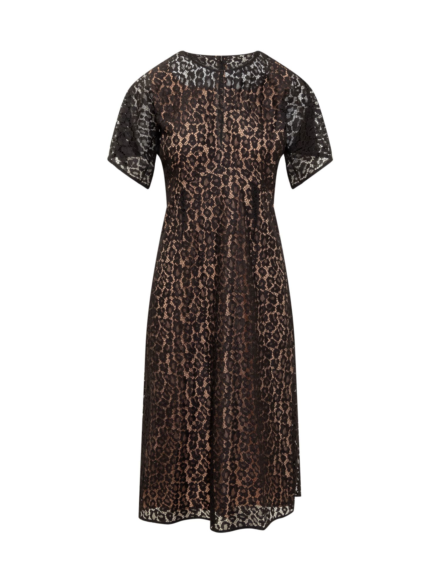 Cheetah Lace Midi Dress