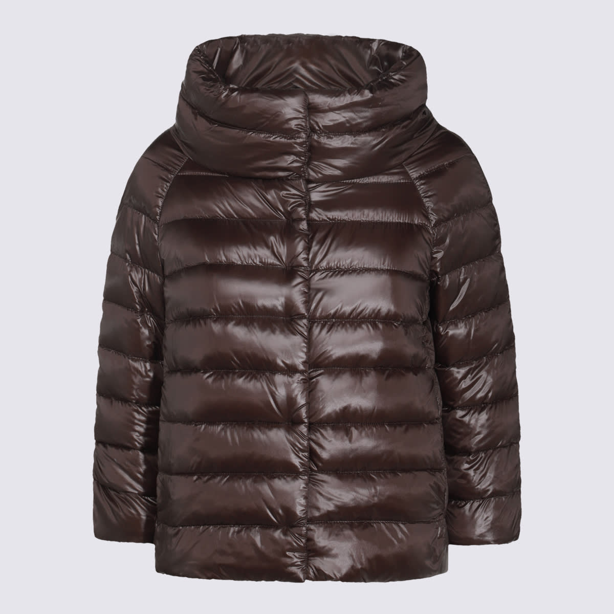 Herno Brown Sofia Down Jacket In Brown