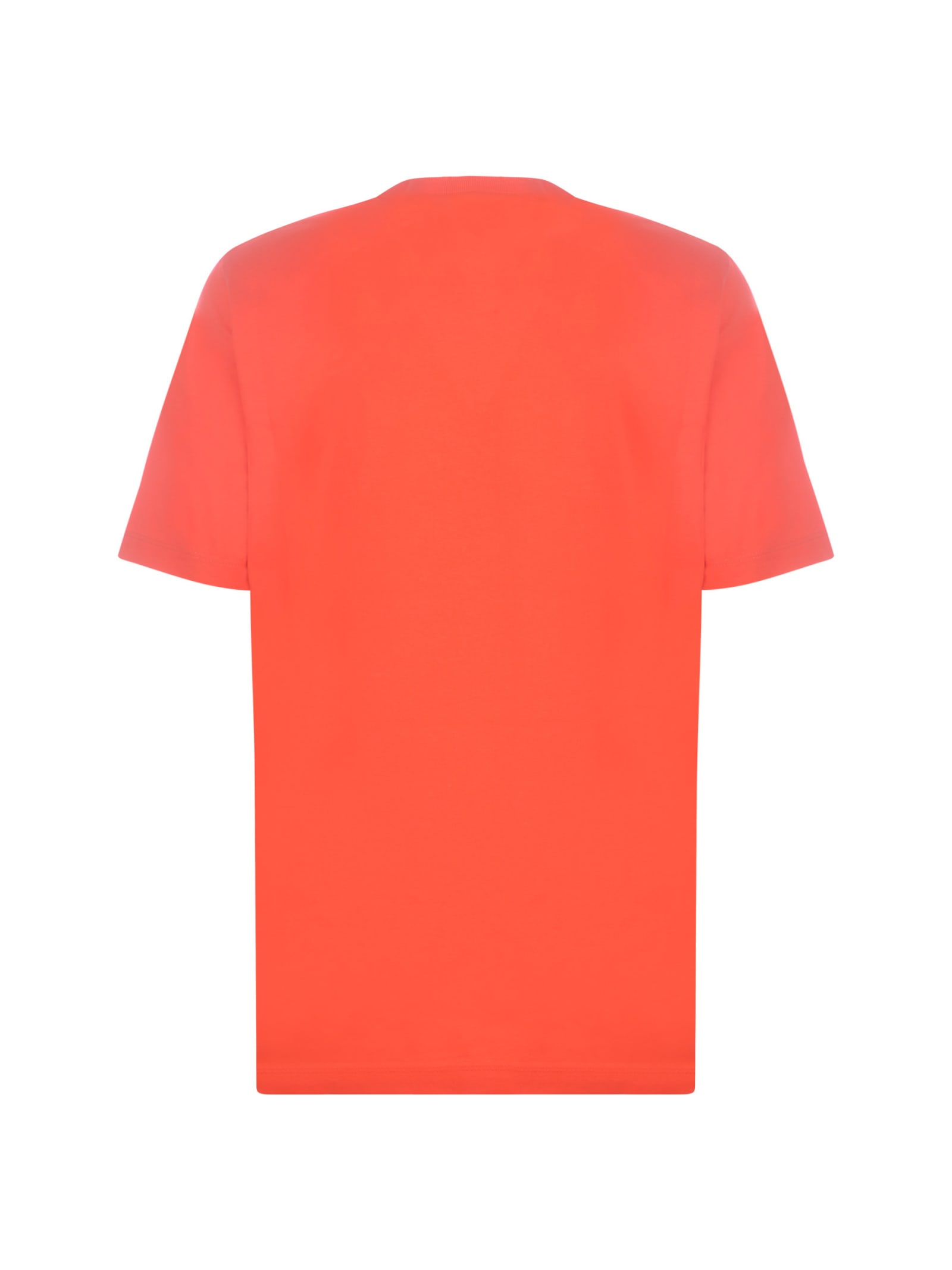 Shop Dsquared2 T-shirt  Icon In Cotton Jersey In Corallo