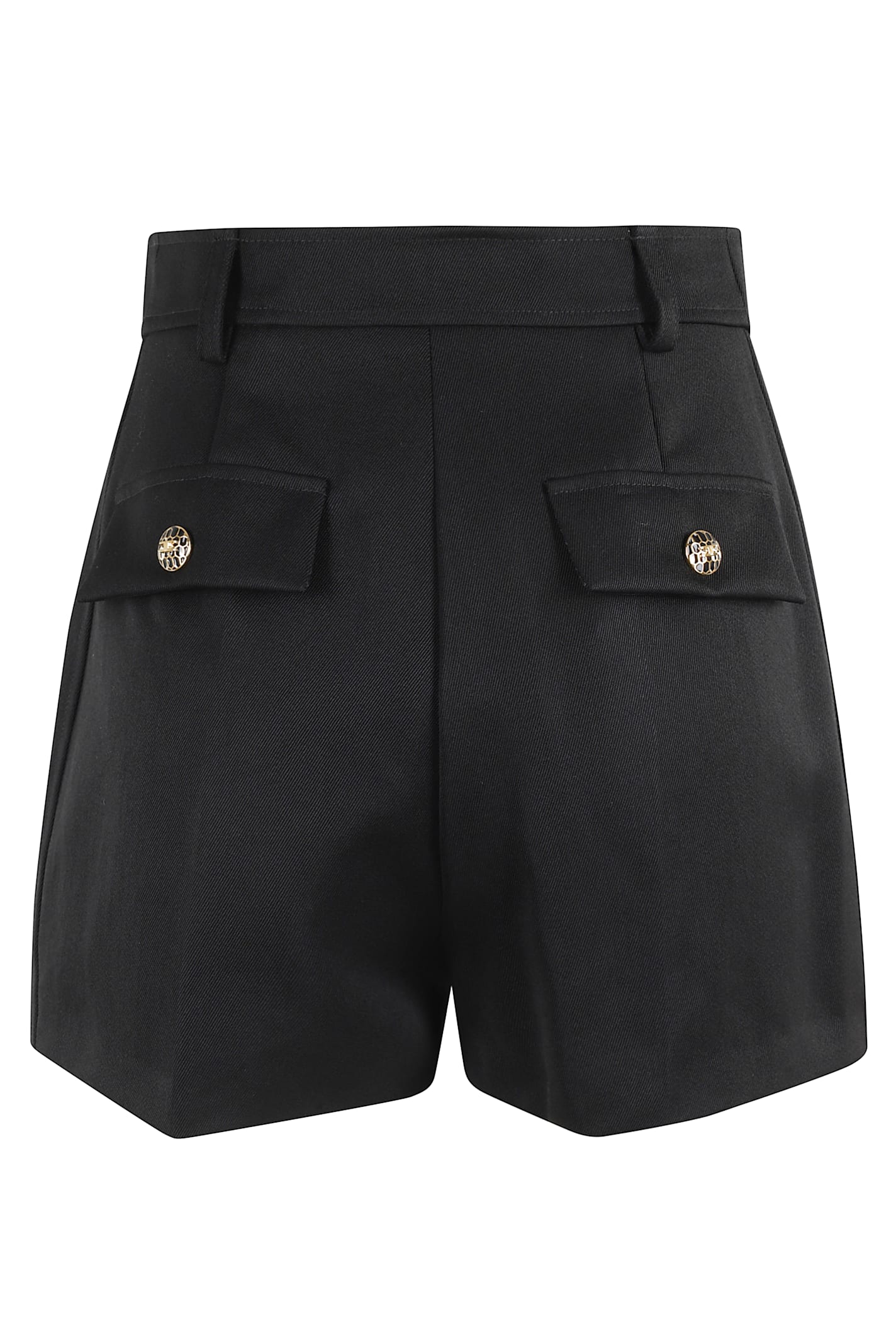 Elisabetta Franchi Shorts In Black