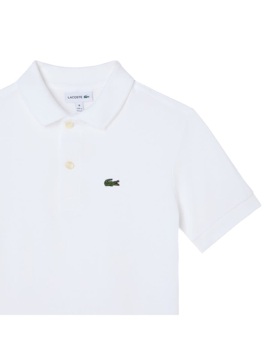 Lacoste Polo With Logo In White