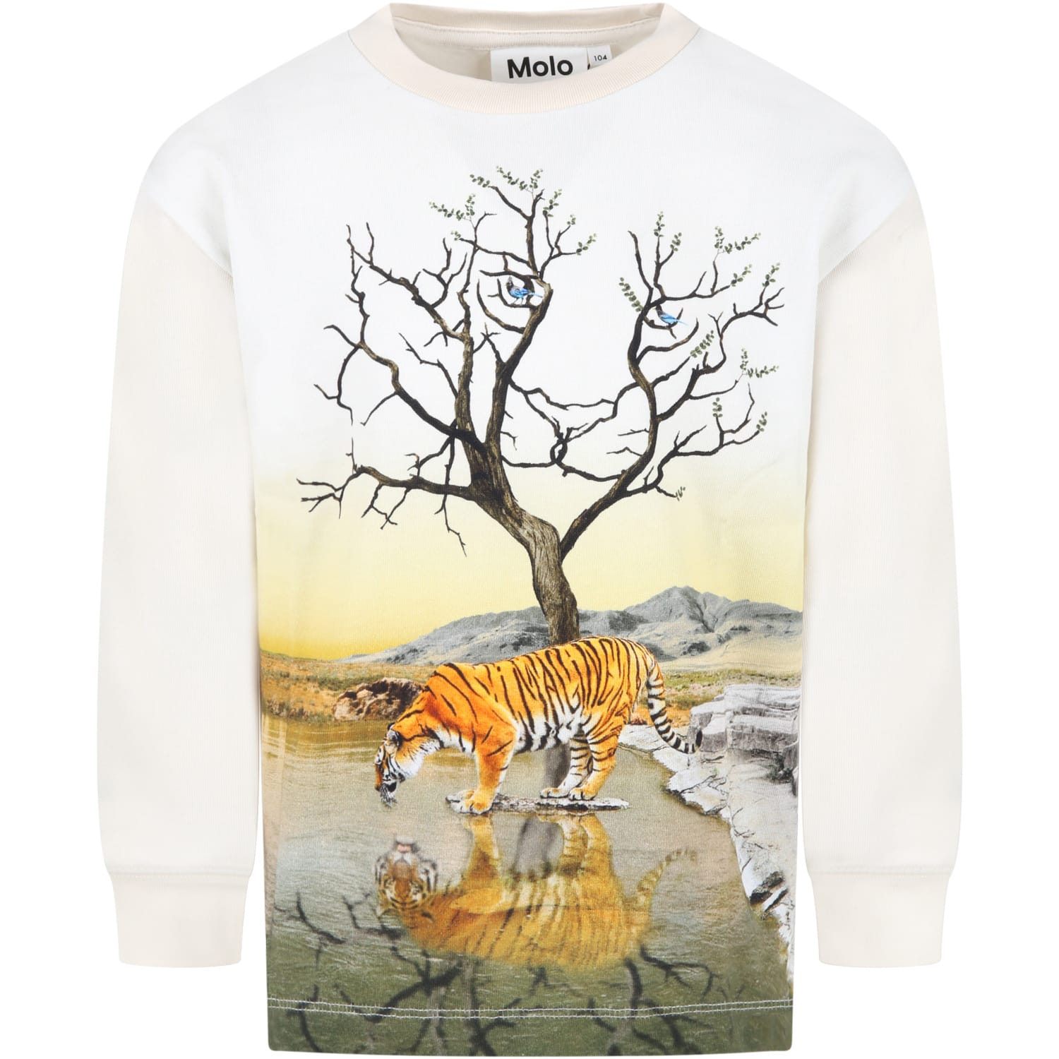 Molo Ivory T-shirt For Boy With Tiger