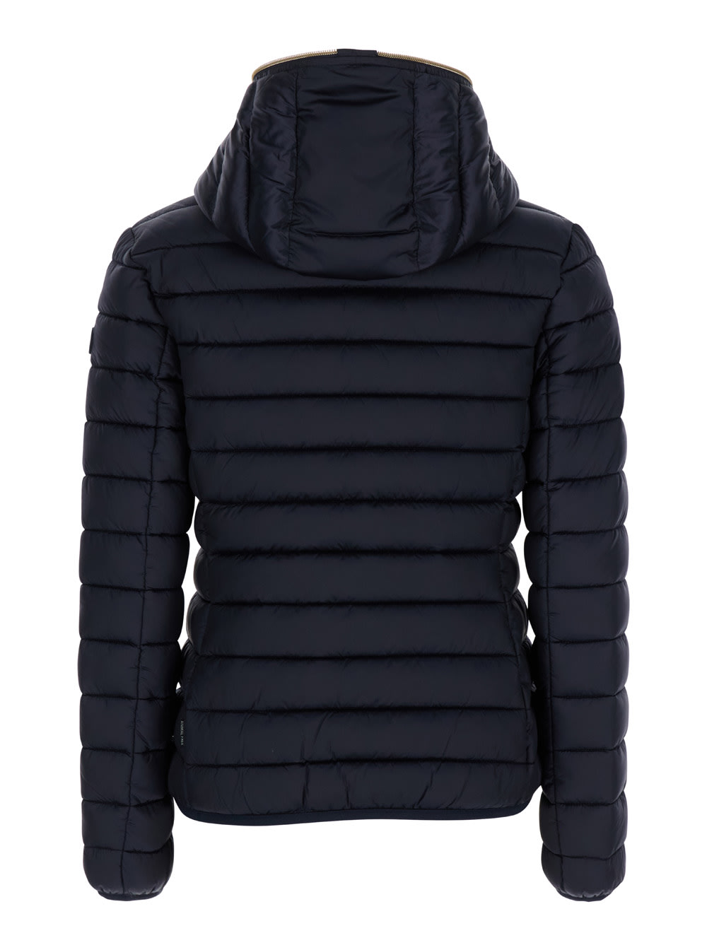 Shop Save The Duck Alexis Blue Hooded Down Jacket With Tonal Logo Print In Shiny Nylon Woman