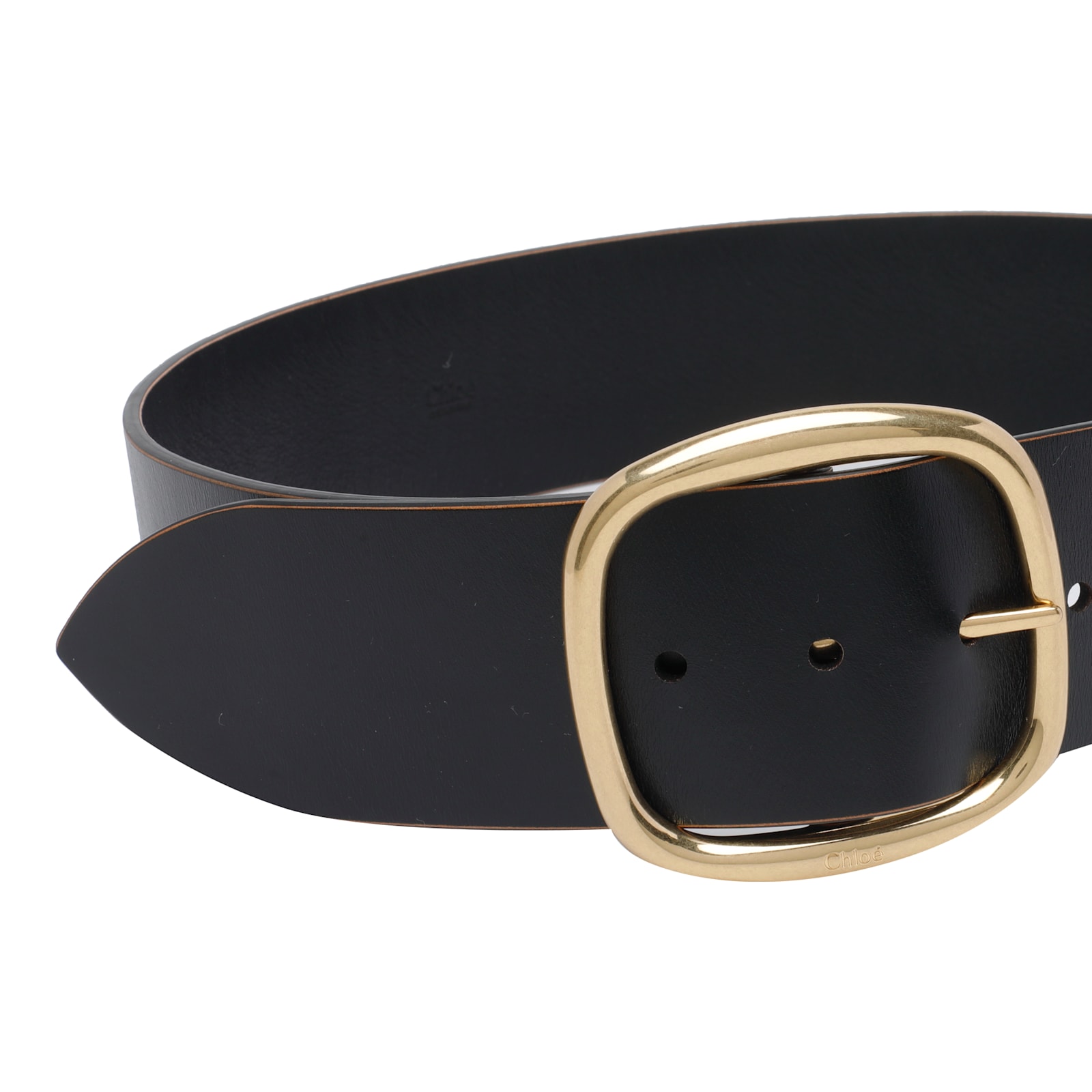 Chloé The Chloe Anita Belt In Brown