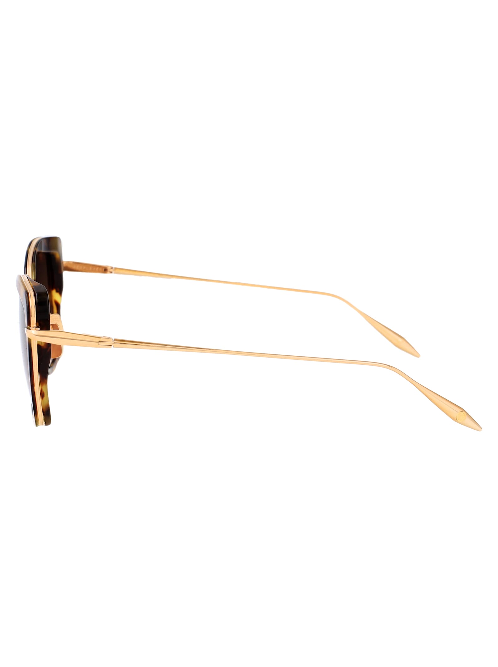Dita Womens Brown Dts405 Perplexa Butterfly-frame Acetate Sunglasses In Tortoise Haze - White Gold W/ Dark Brown To Clear Gradient