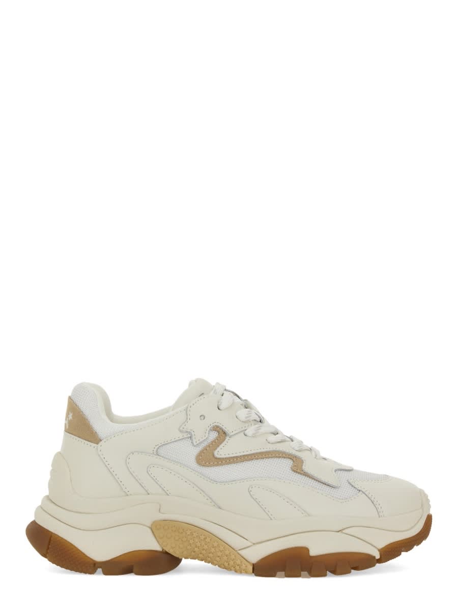 Shop Ash Sneaker Addict In Beige