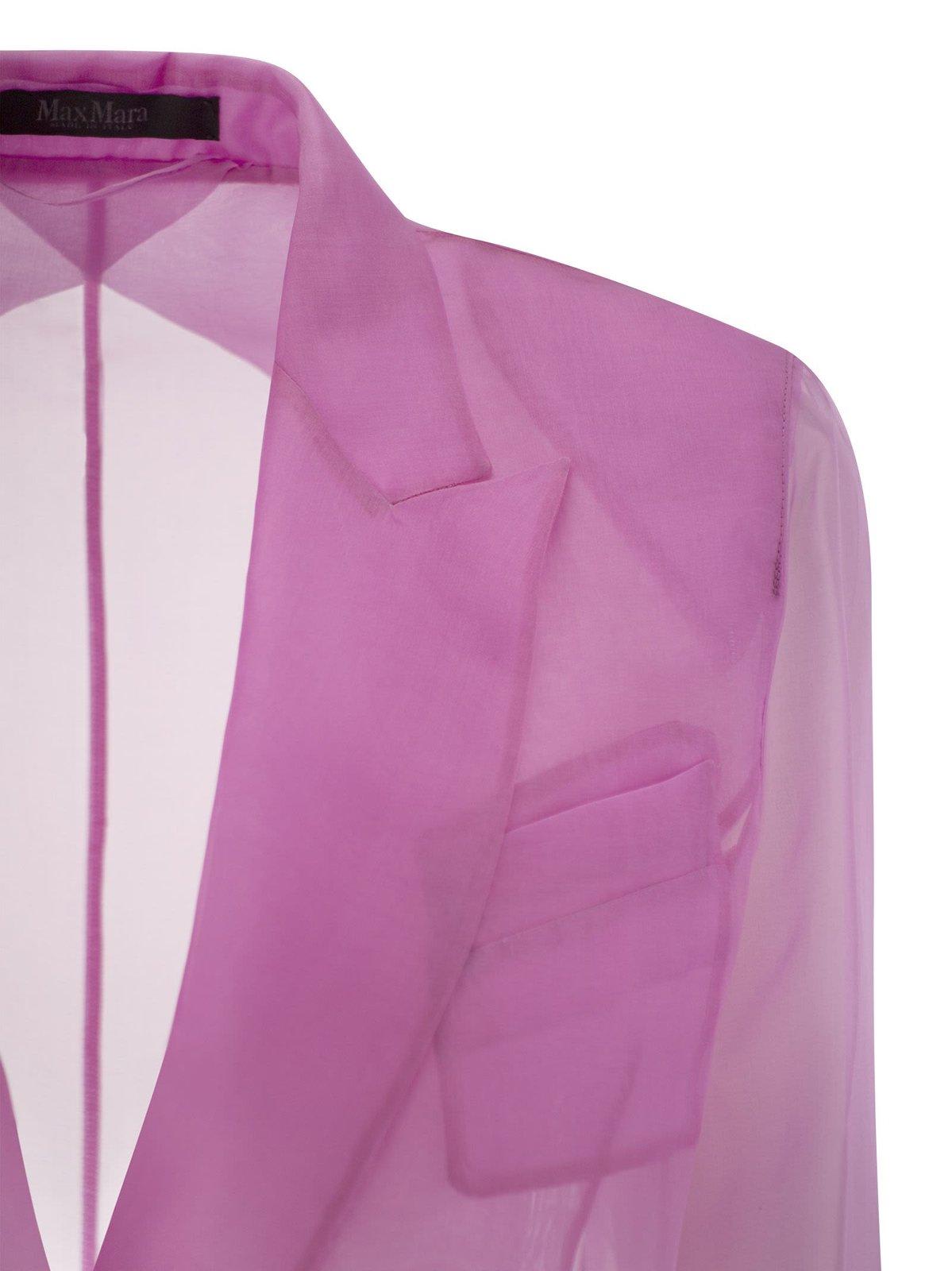Shop Max Mara Negra Double-breasted Sheer Blazer In Pink