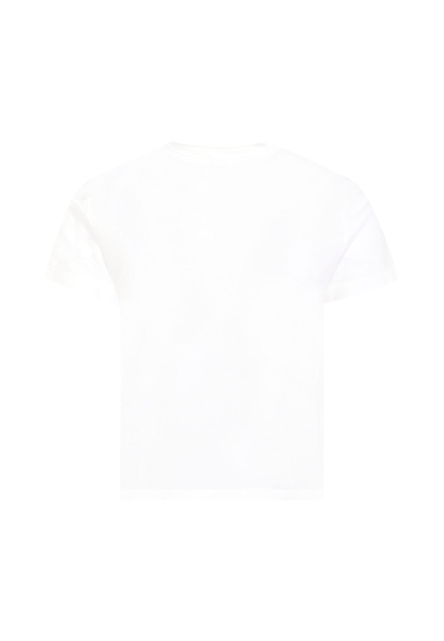 Dolce & Gabbana White T-shirt For Girl With Dg Logo In White