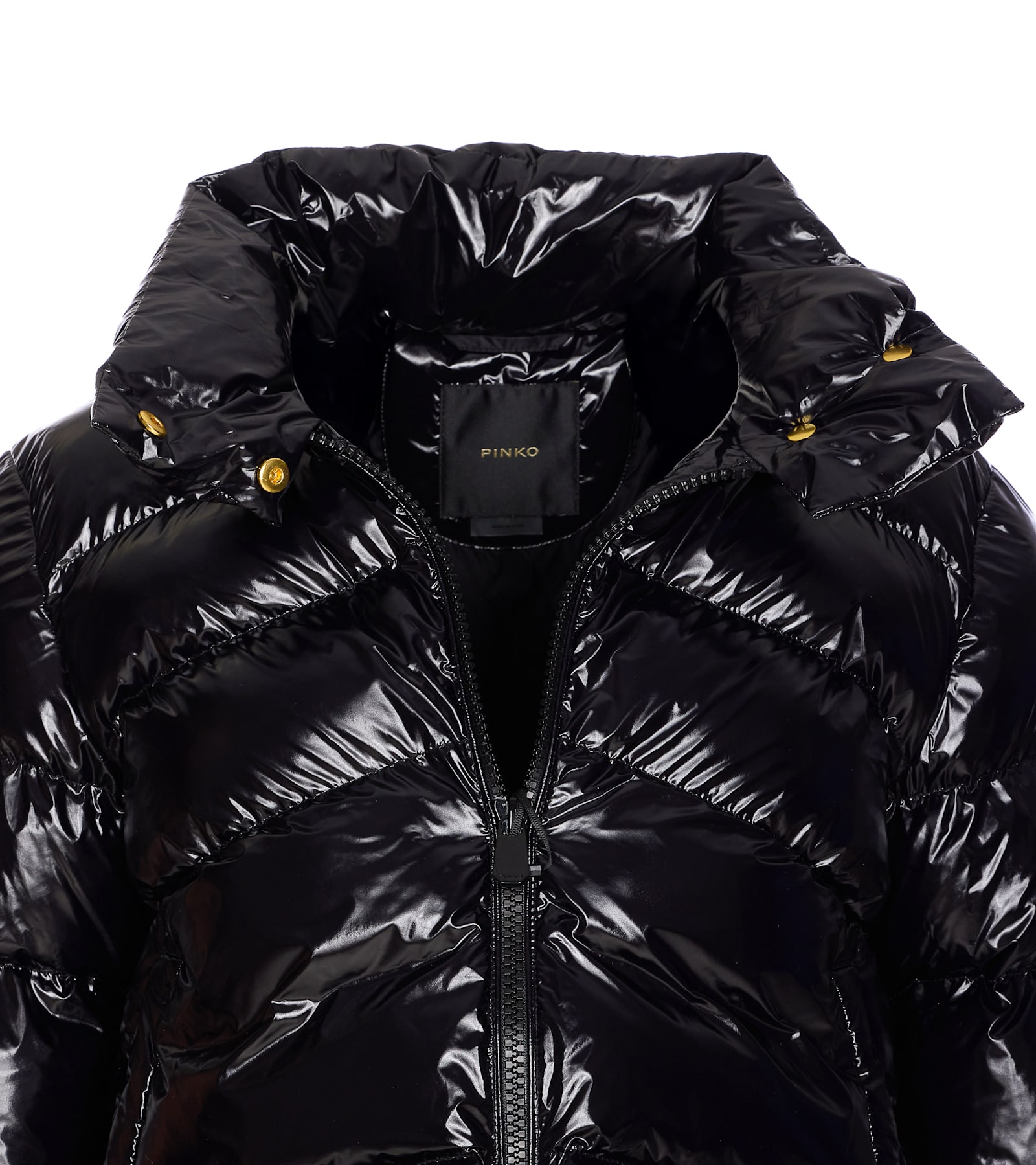 Pinko Mirco Down Jacket In Black