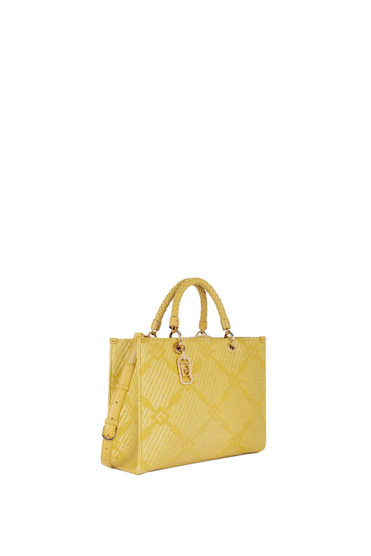 ELISABETTA FRANCHI HANDBAG