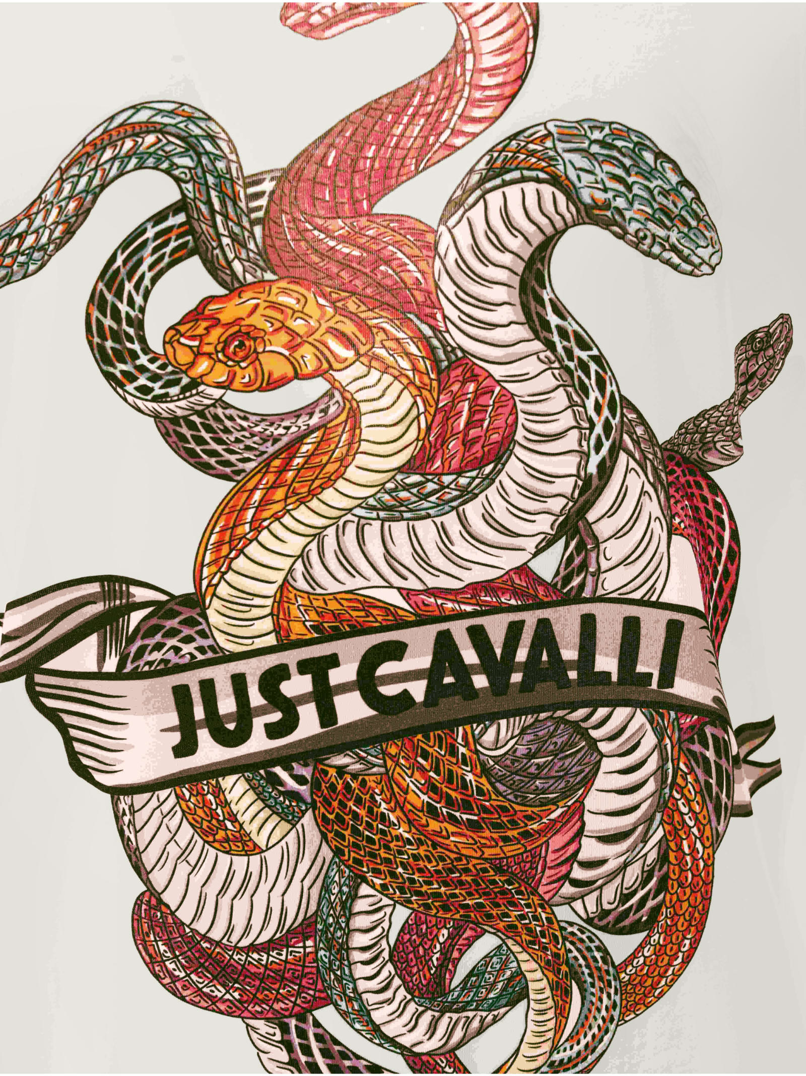 Just Cavalli Graphic Crew Neck T-shirt With Short Sleeves In White