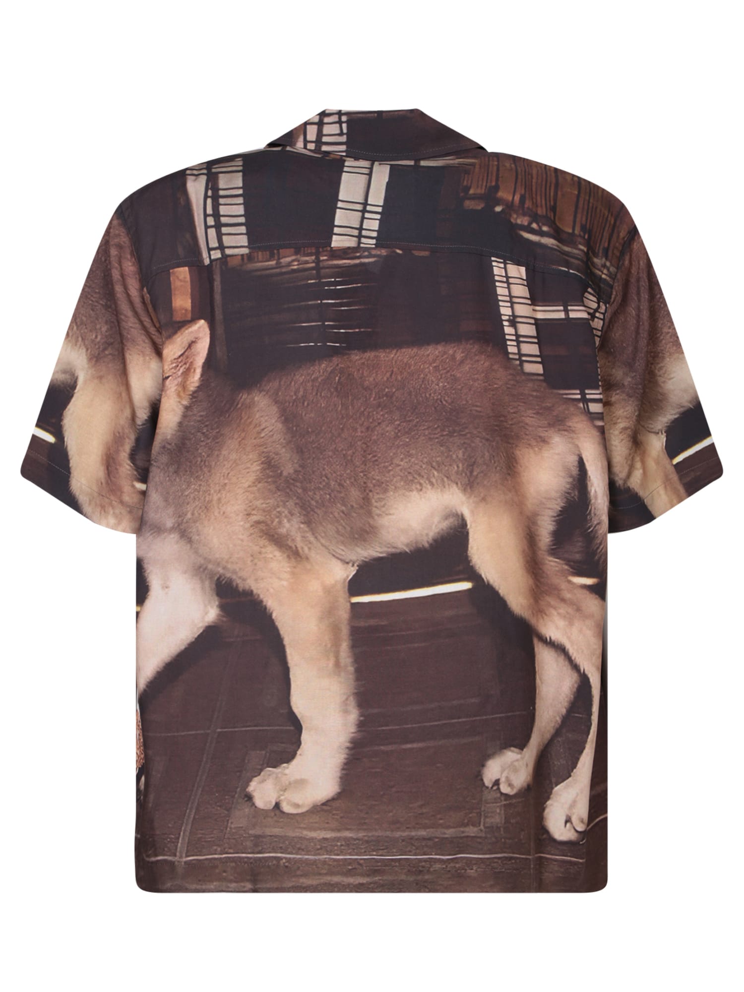 Fuct Shirts In Brown