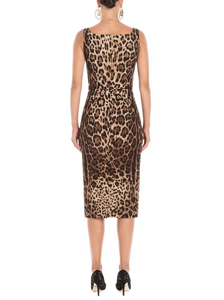 Shop Dolce & Gabbana Leopard Print Fitted Midi Dress In Brown