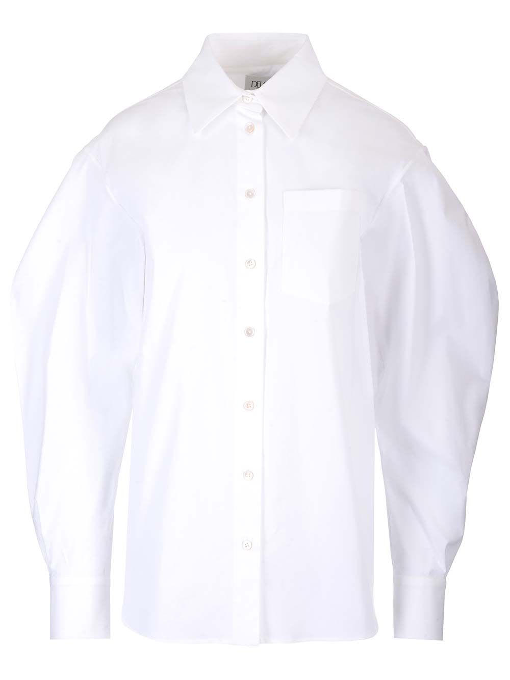 Voluminous Sleeves Shirt