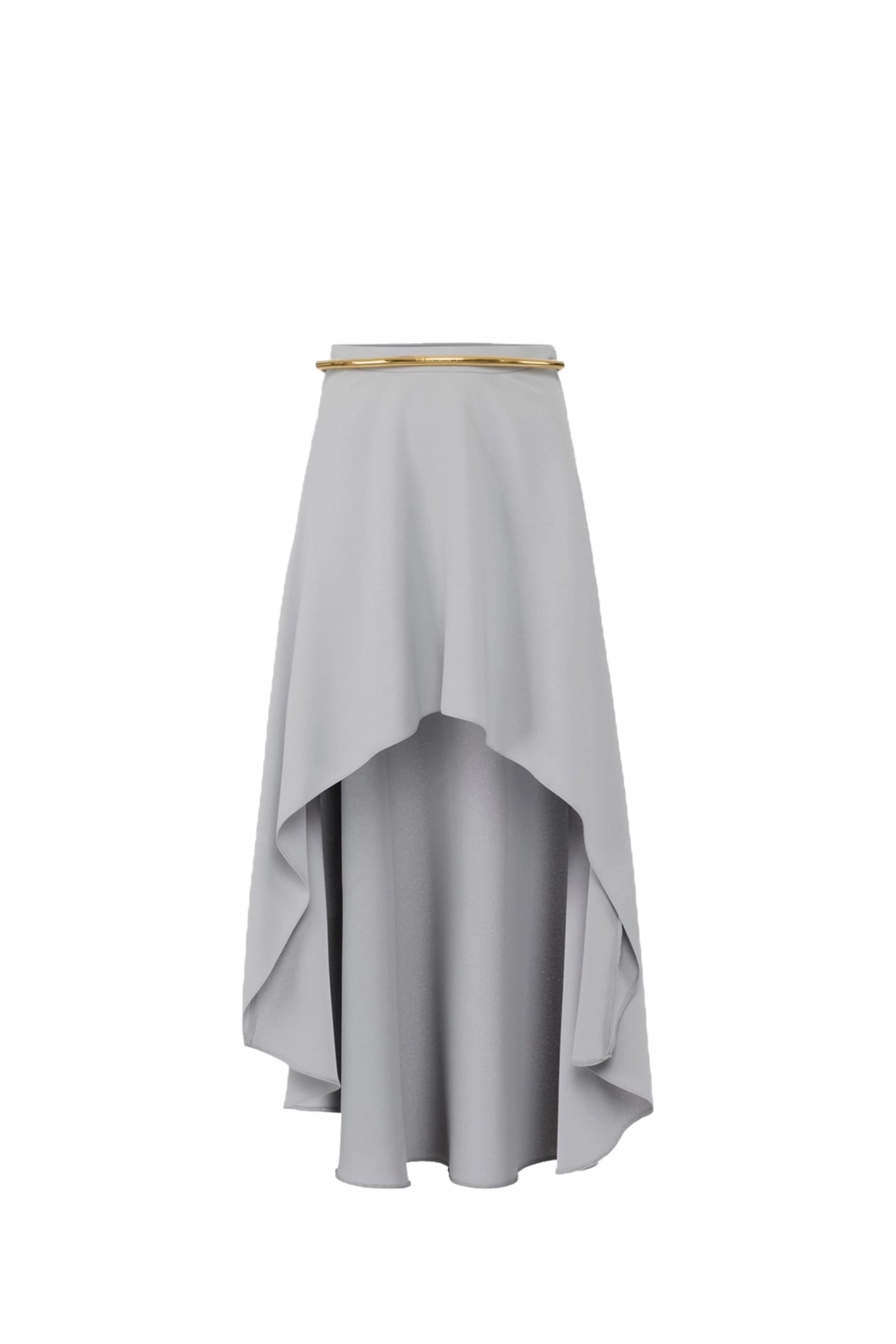 Shop Elisabetta Franchi Skirt In Grey