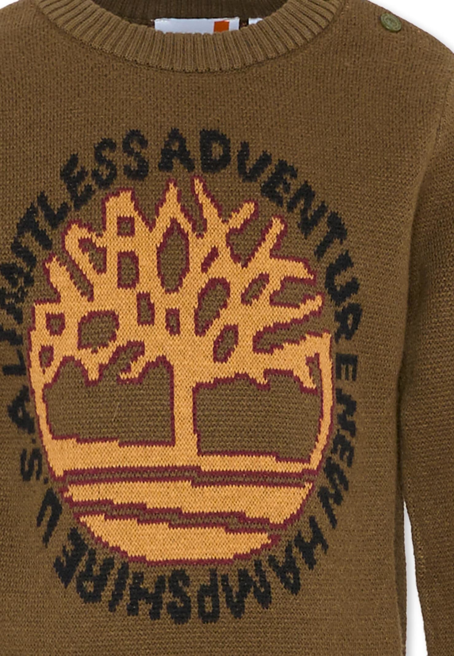 Timberland Green Sweater For Boy With Logo In Brown