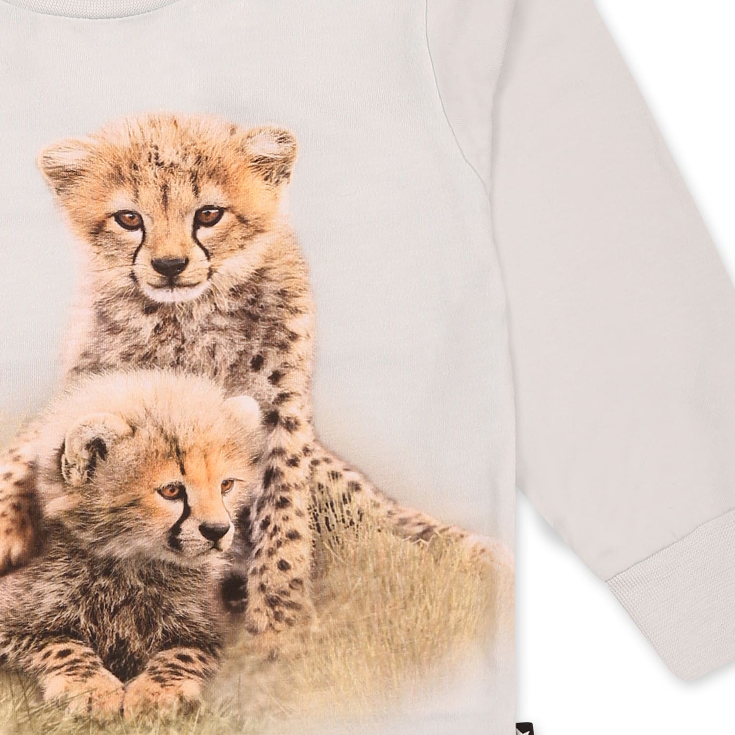 Molo Light Blue T-shirt For Babykids With Cheetah In Light Blue