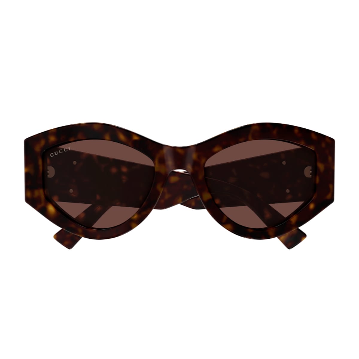 Gucci Gg1951s Linea Emblem 002 Havana Brown Sunglasses In Brown