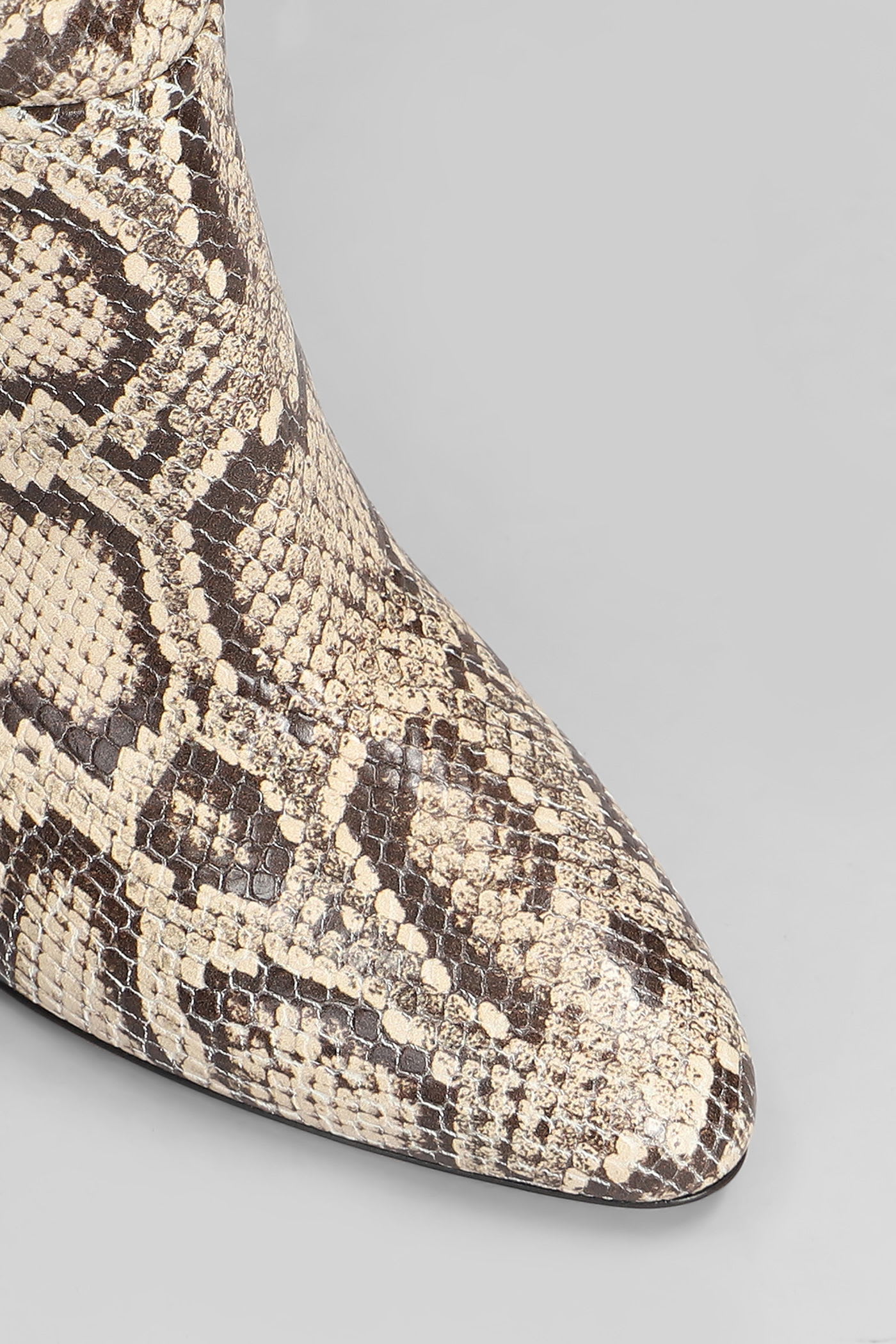 Paris Texas Lavinia Boot 75 High Heels Boots In Python Print Leather In Multi