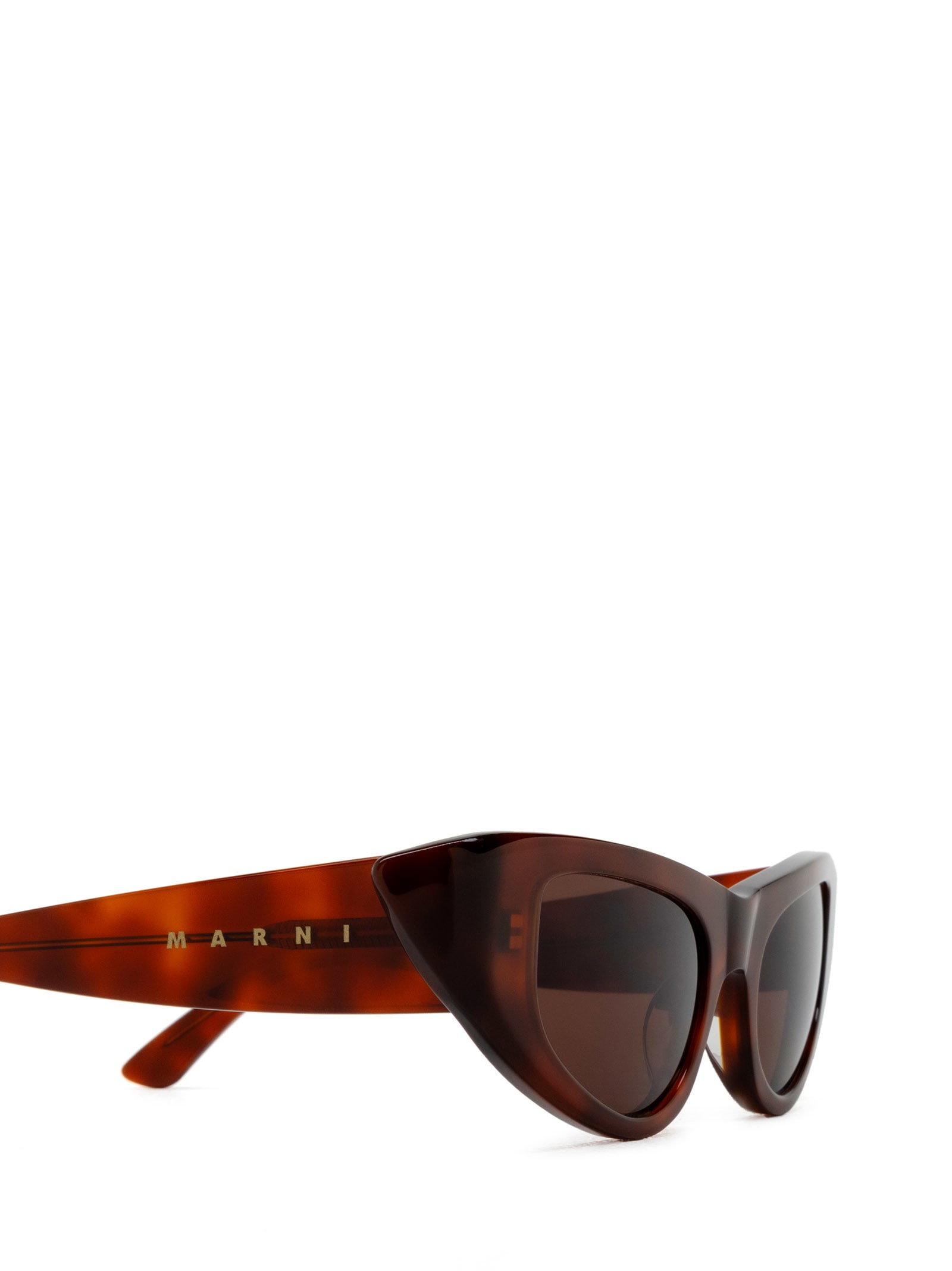Shop Marni Eyewear Netherworld Havana Sunglasses