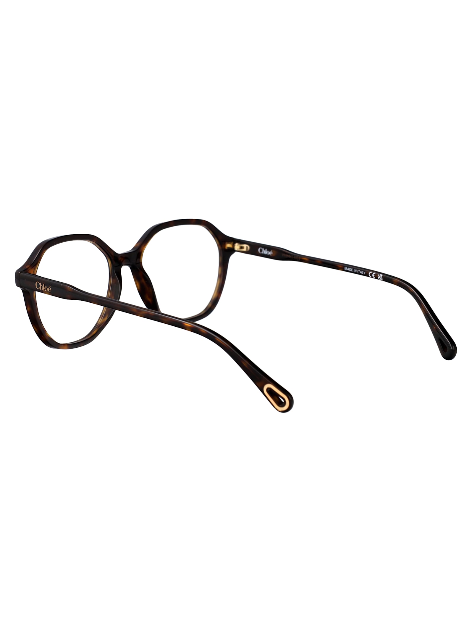 Chloé Ch0312o Glasses In Transparent
