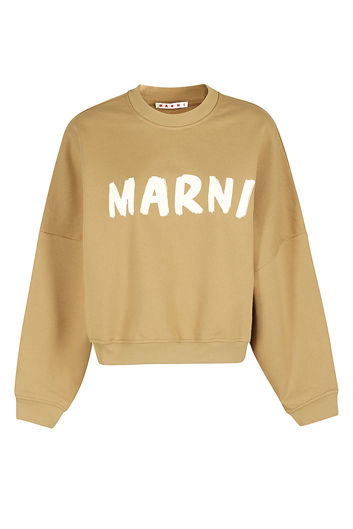 Shop Marni Sweatshirt In Olive