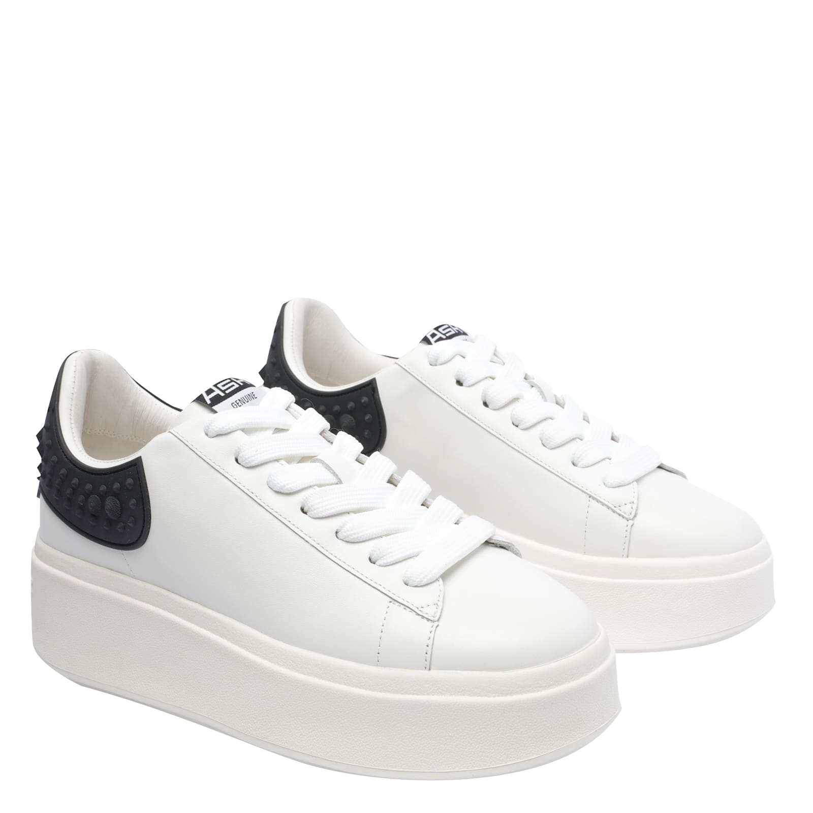 Ash Moby White And Black Sneaker In White