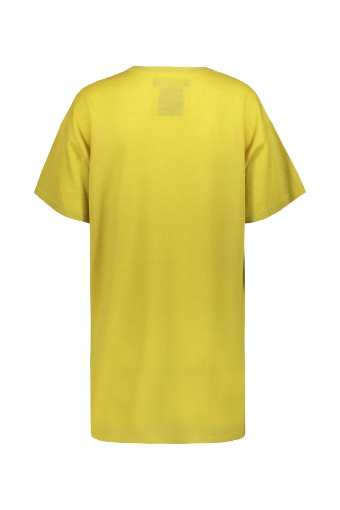 Shop Frenckenberger Cashmere T-shirt In Celery