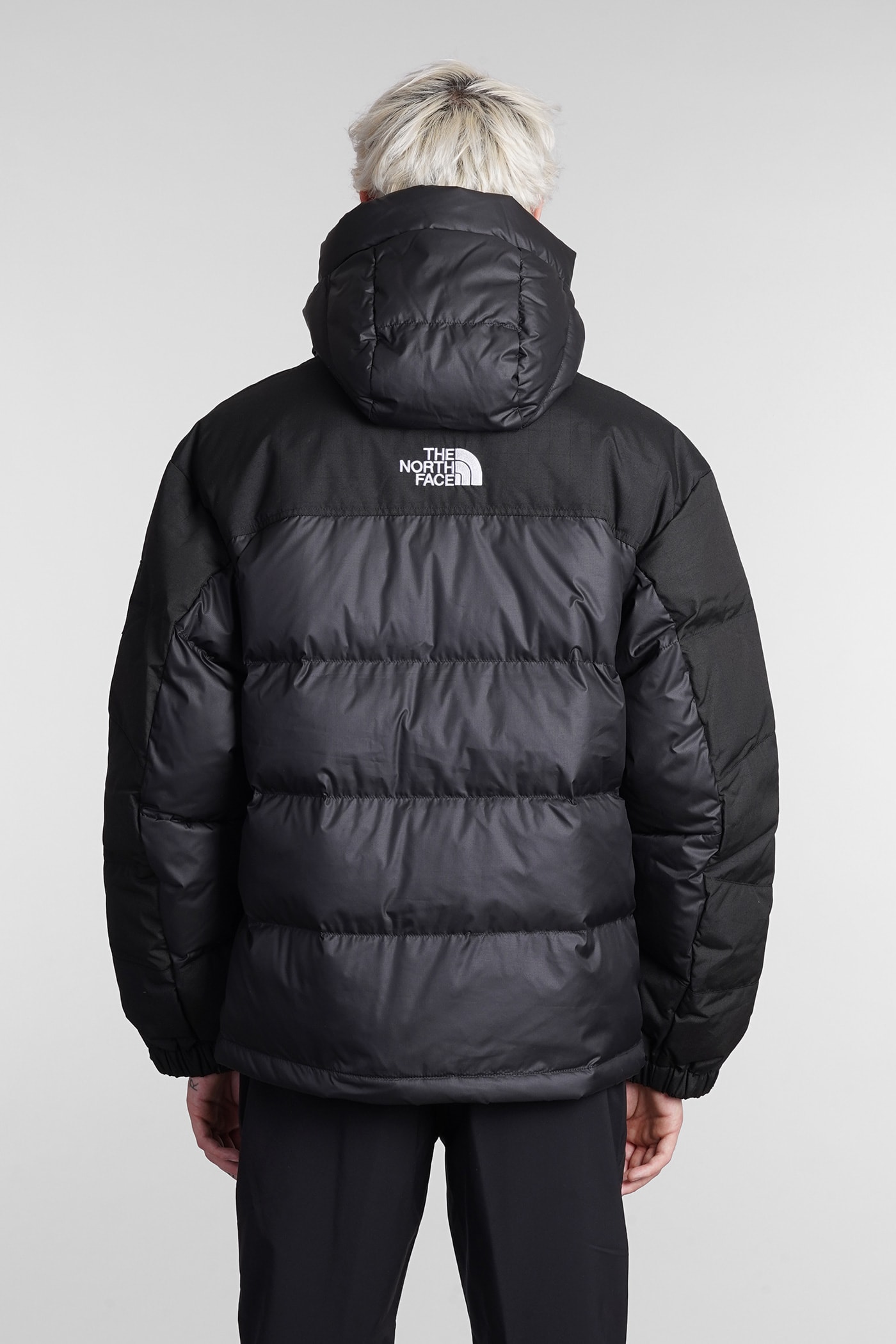 The North Face Hydrenalite Hooded Down Puffer Jacket In Black | ModeSens