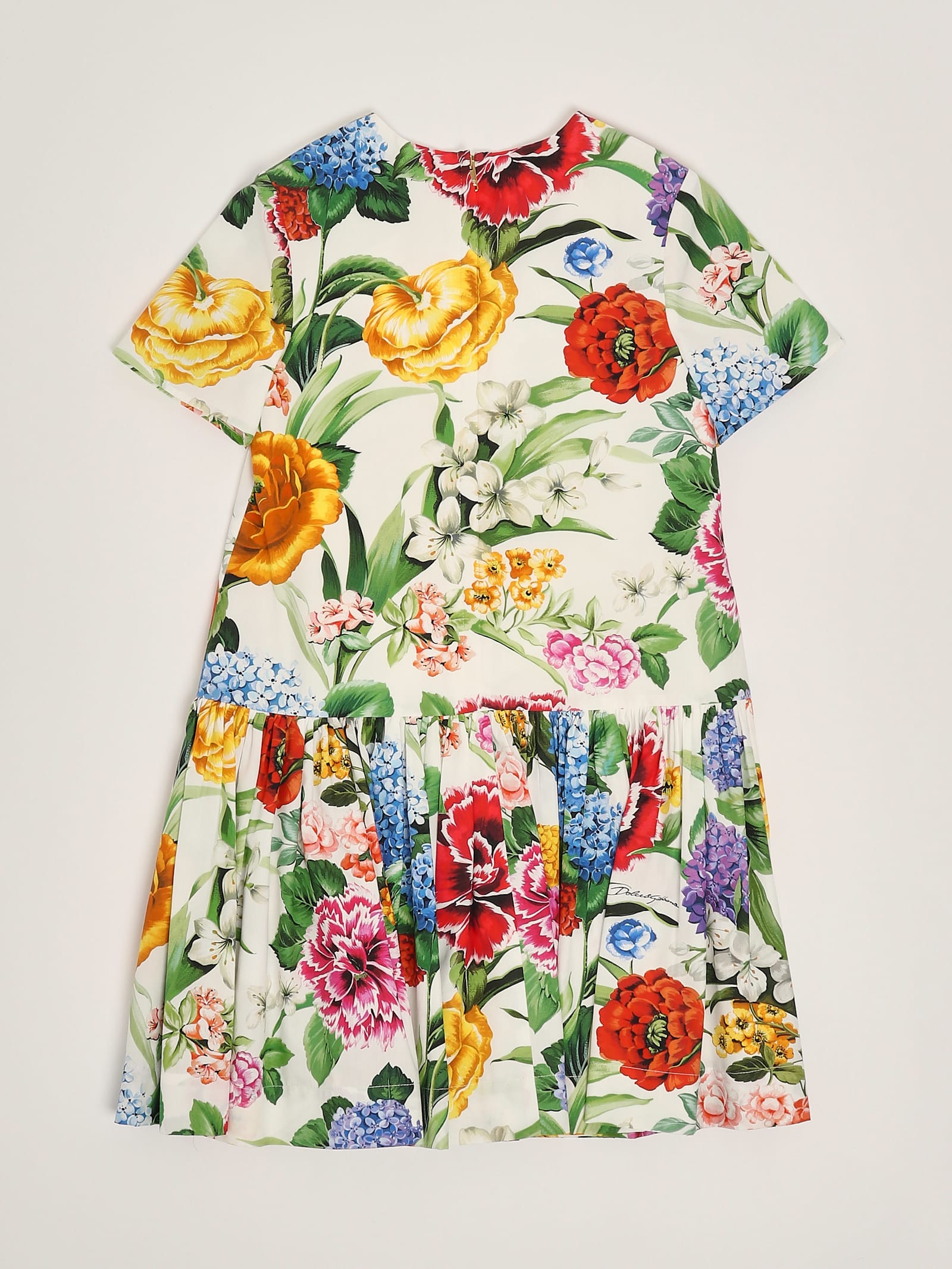 Dolce & Gabbana Short Sleeves Dress Dress In Multi