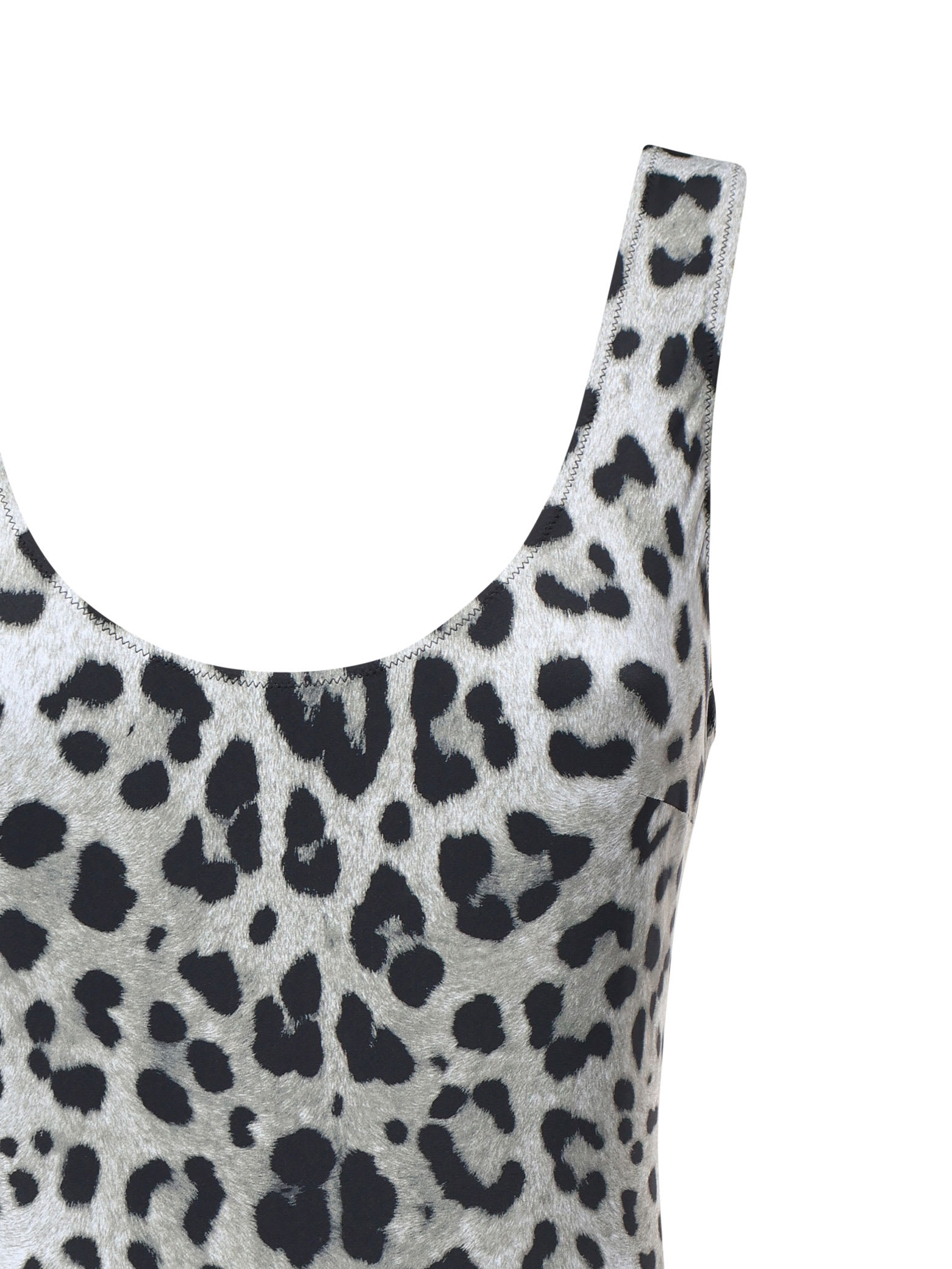 Dolce & Gabbana Leopard Print Olympic One-piece Swimsuit In Brown