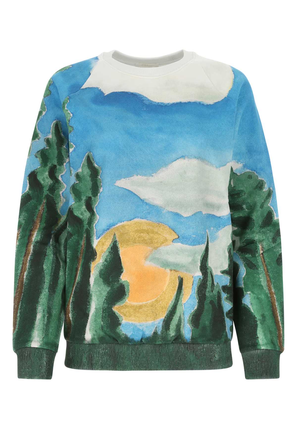 Shop Chloé Printed Cotton Sweatshirt In 39d