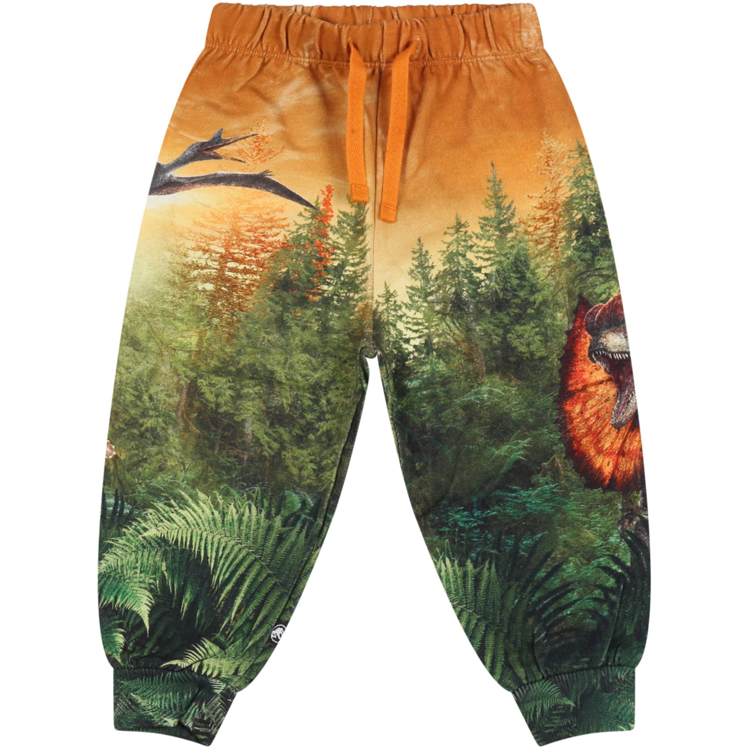 Molo Multicolor Sweatpants For Babykids With Dinosaur Print