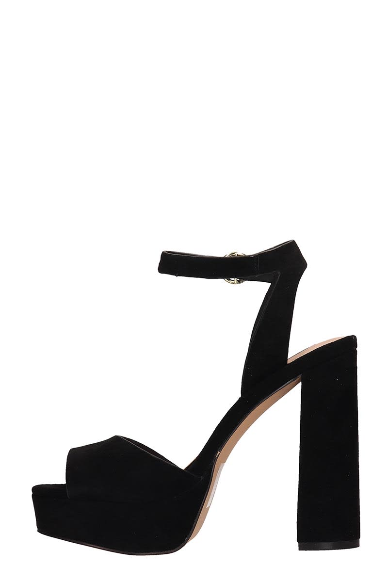 steve madden madeline black suede