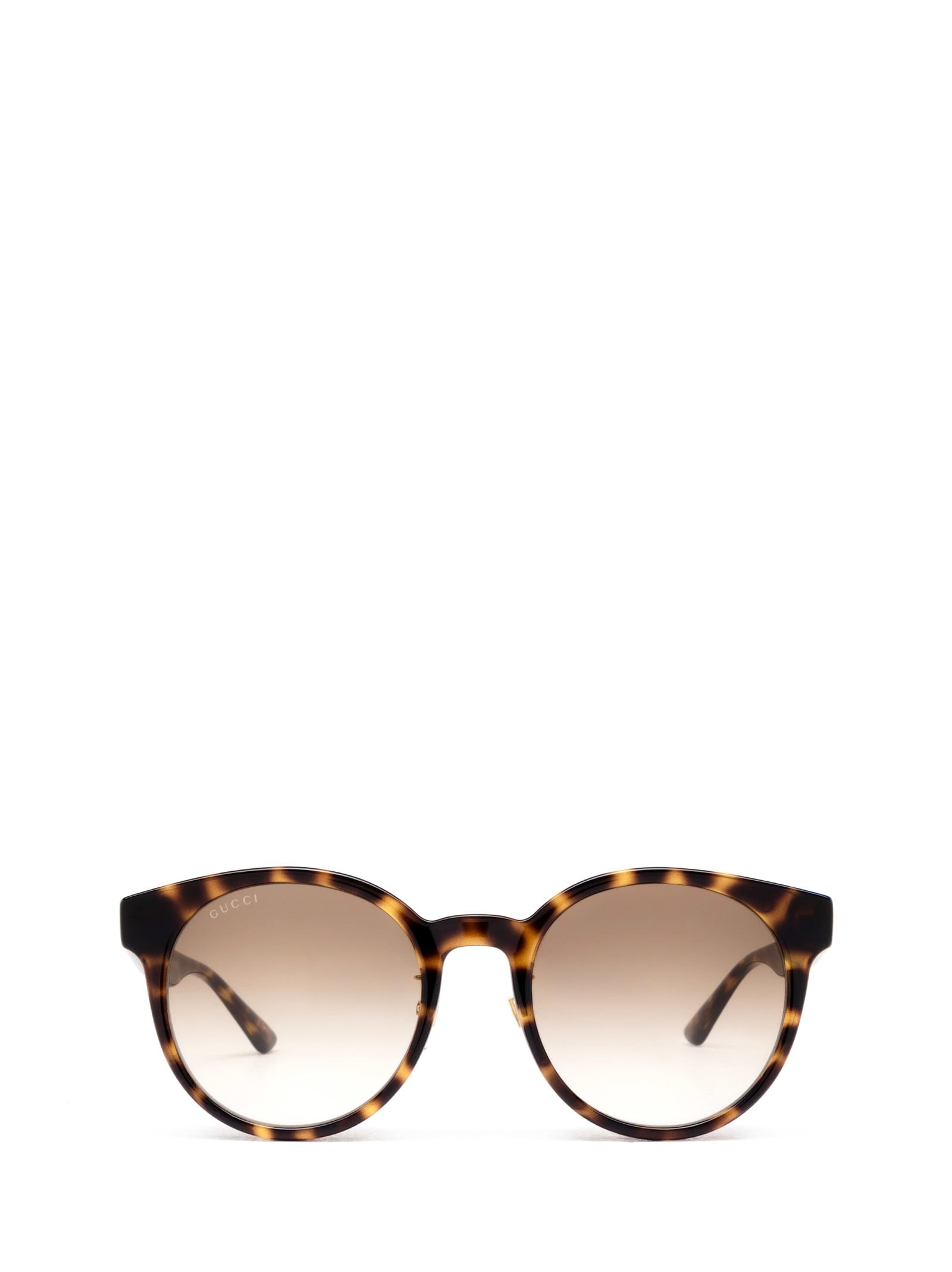 Gg1339sk Havana Sunglasses