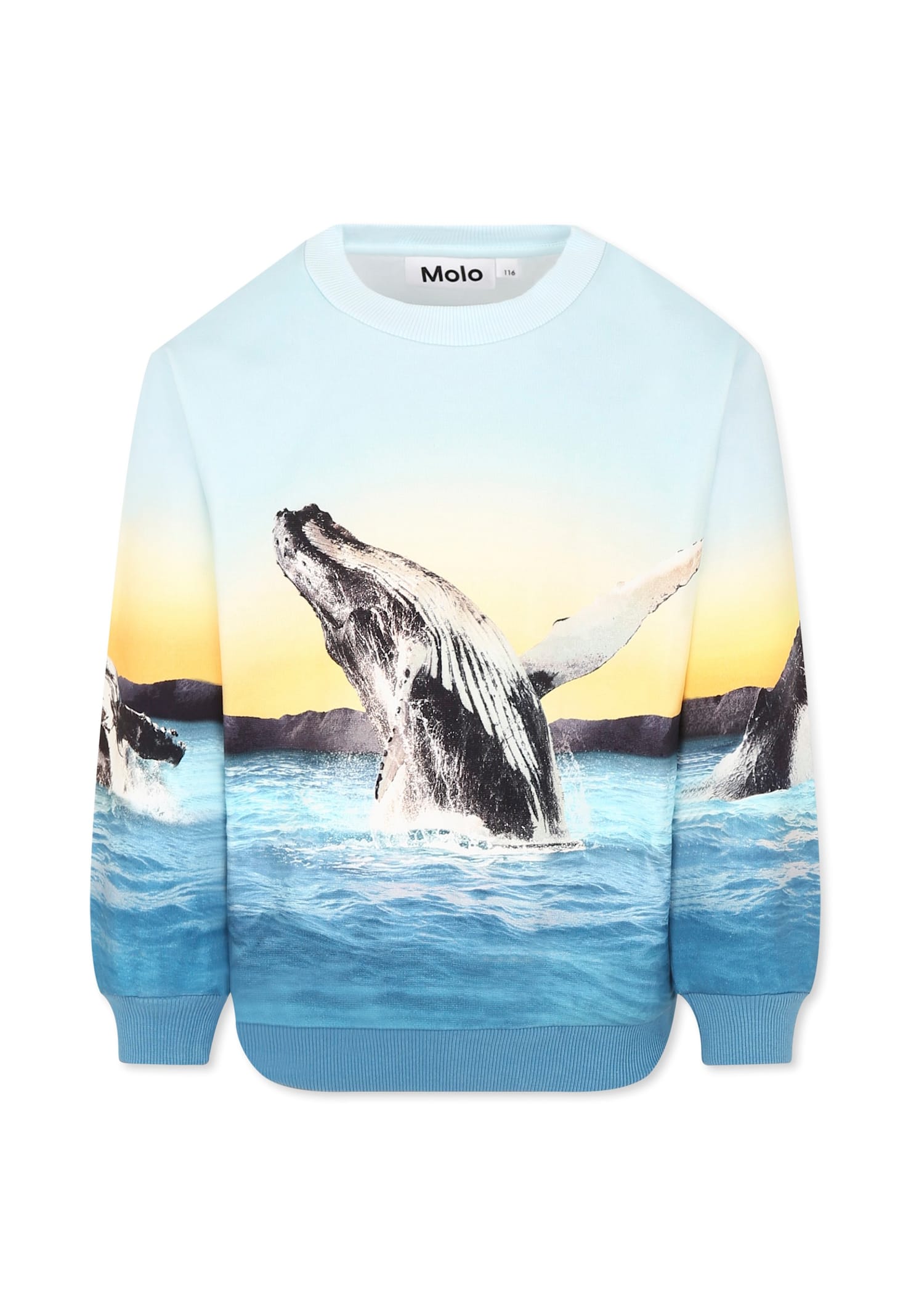 Molo Light Blue Sweatshirt For Boy With Whale In Light Blue