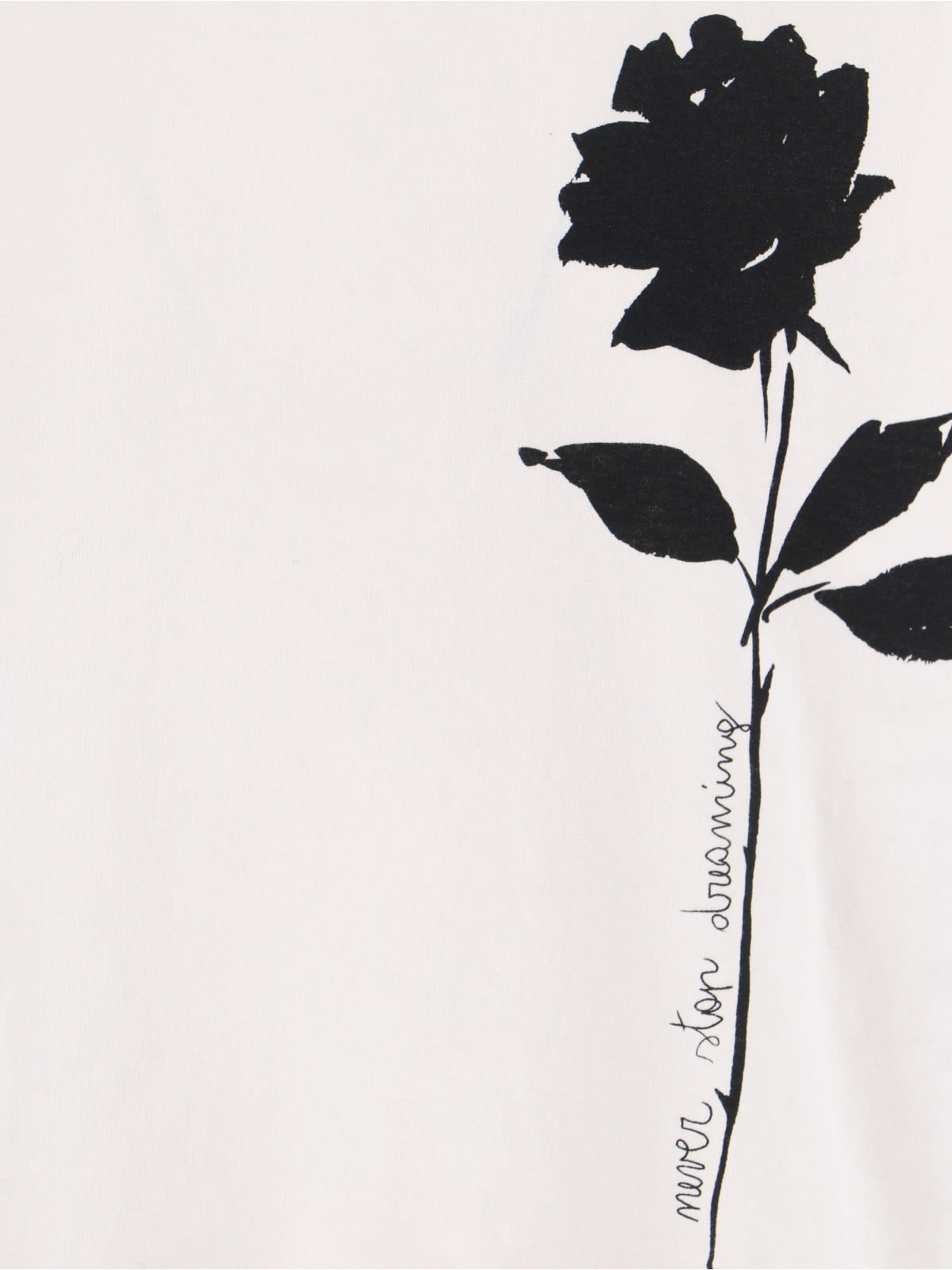 Golden Goose Oversized T-shirt With Black Rose Graphic And Metallic Stars In White