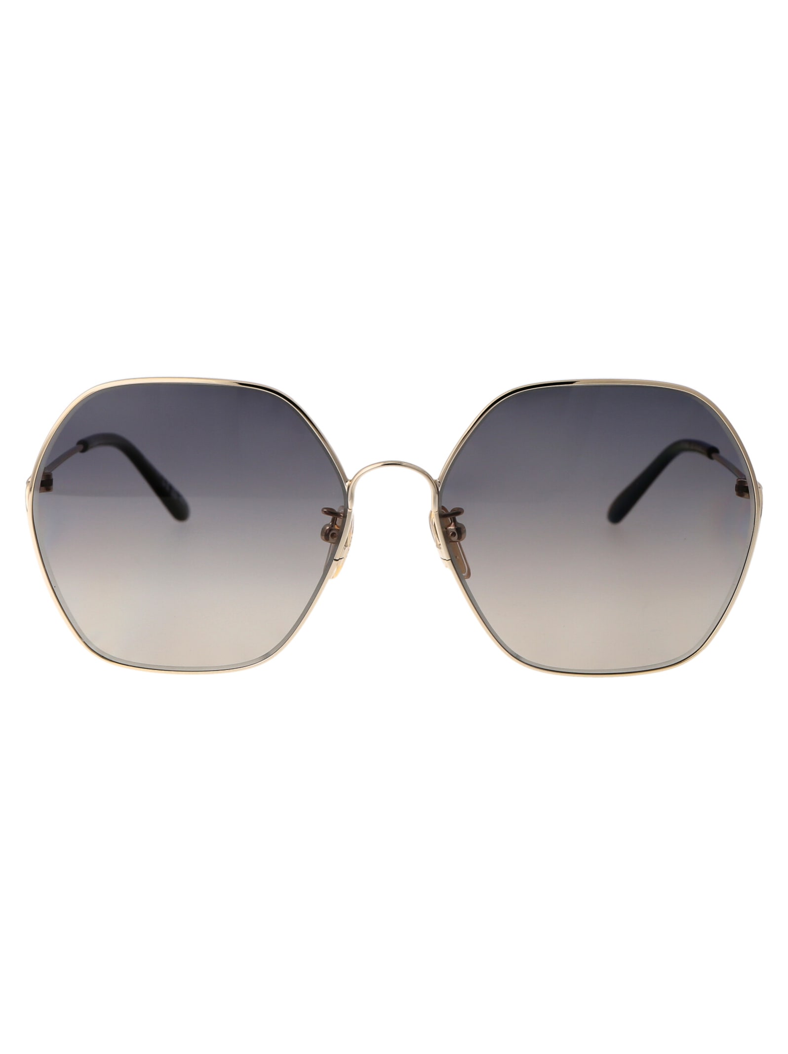 Ch0169sa Sunglasses