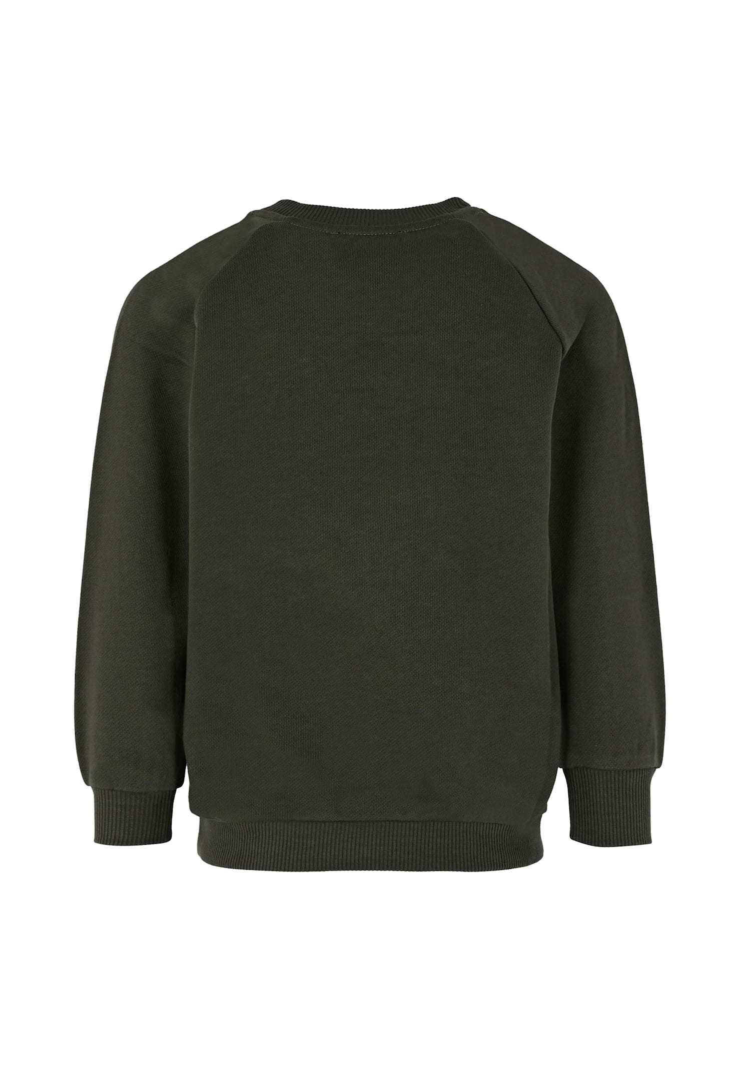 Balmain Green Sweatshirt For Boy With Logo In Green