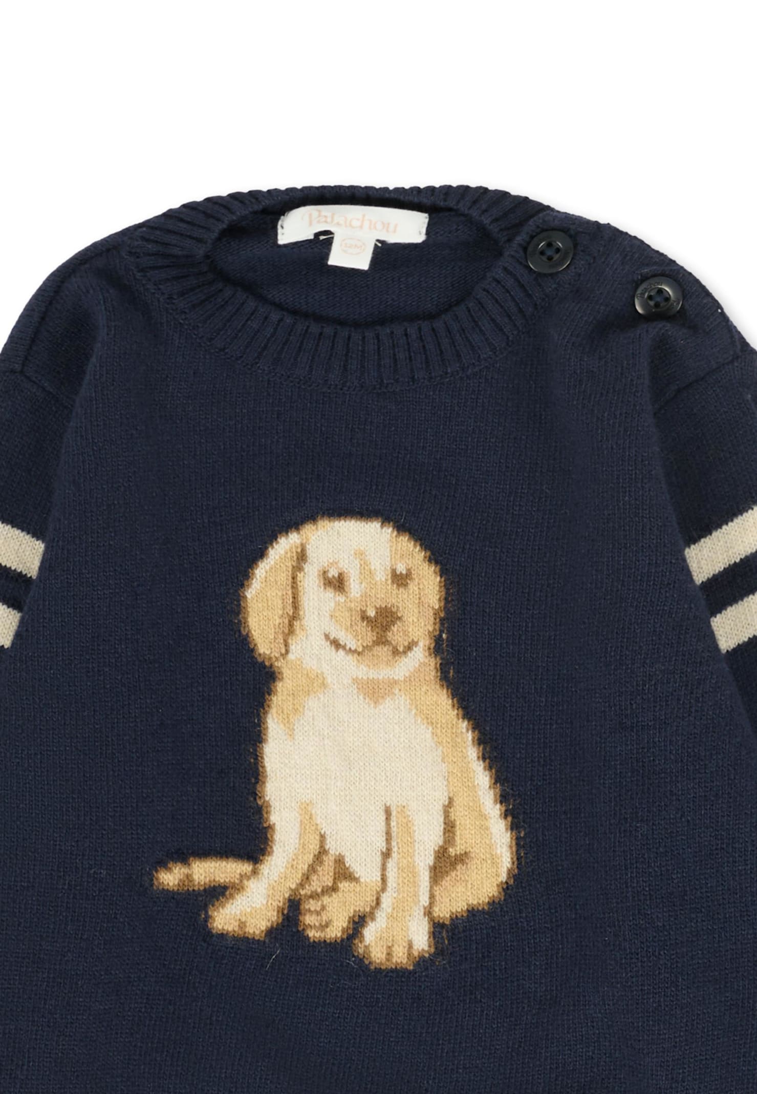 Patachou Blue Sweater For Baby Boy With Dog In Blue