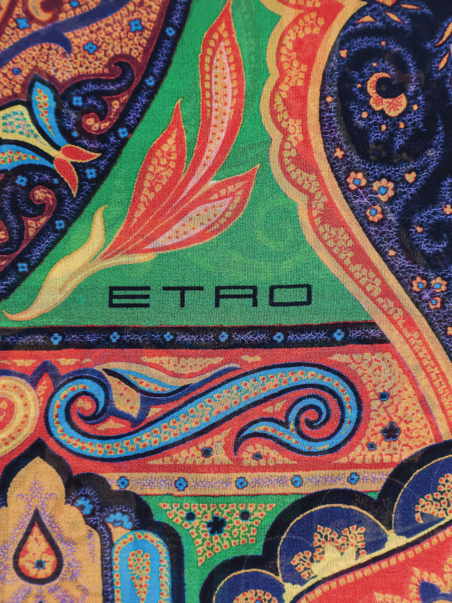 Etro Multicolor Silk Foulard In Multi