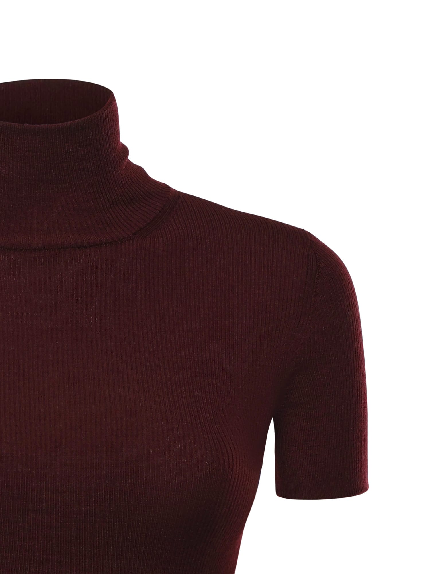 Max Mara Wool Turtleneck In Burgundy