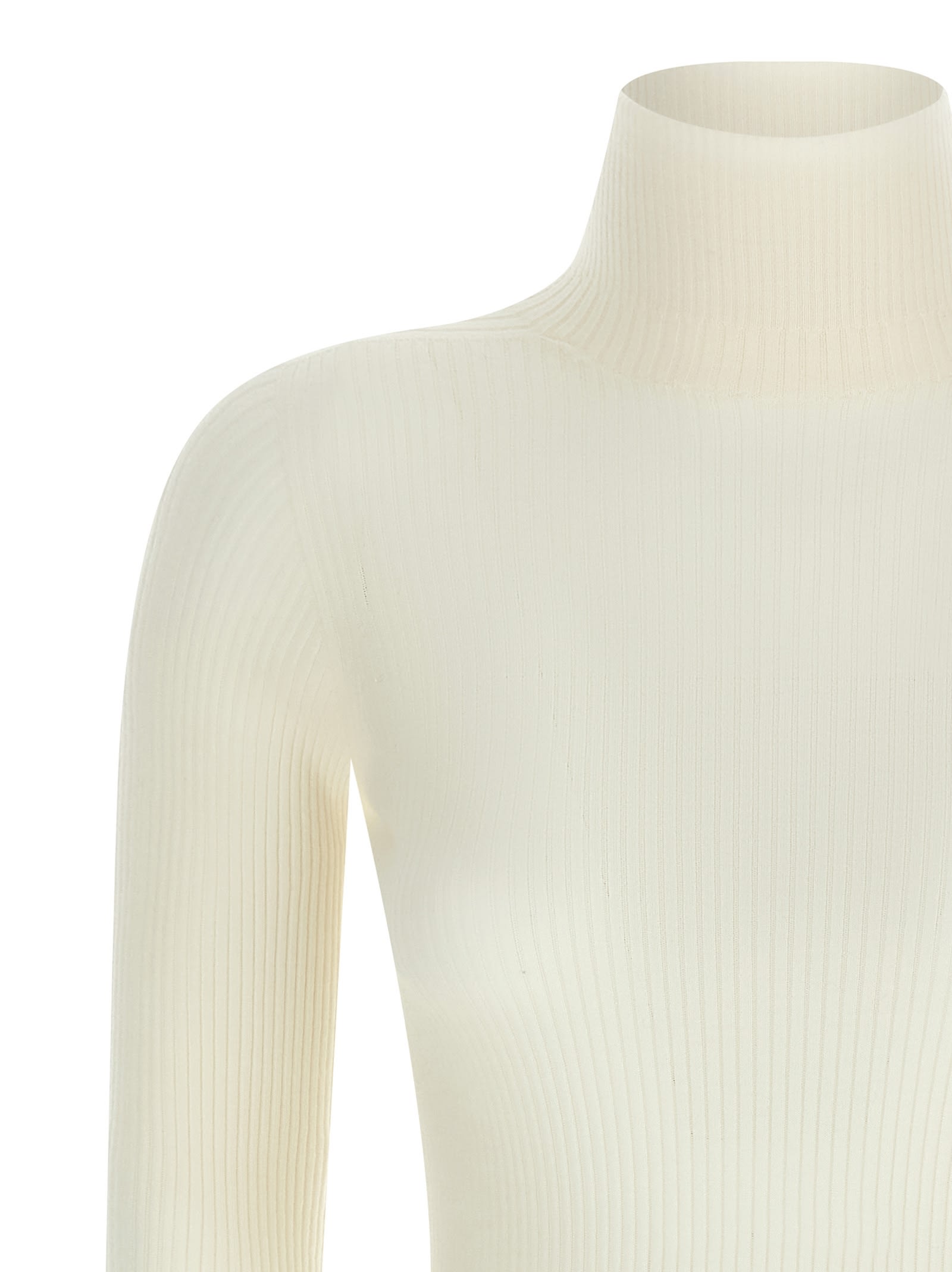 Sportmax Wool Ribbed Turtleneck Sweater In Multi