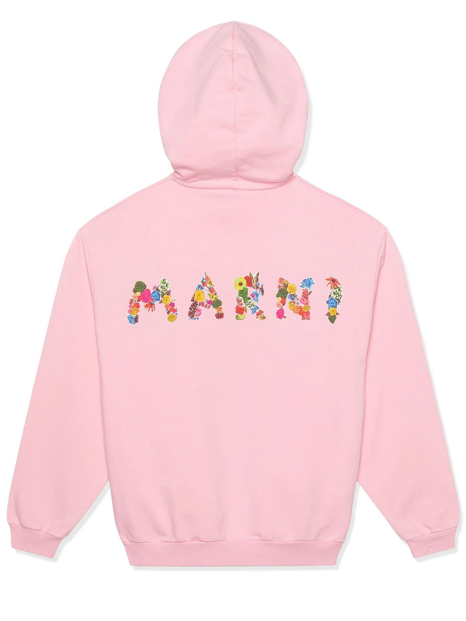 Shop Marni Sweaters Pink