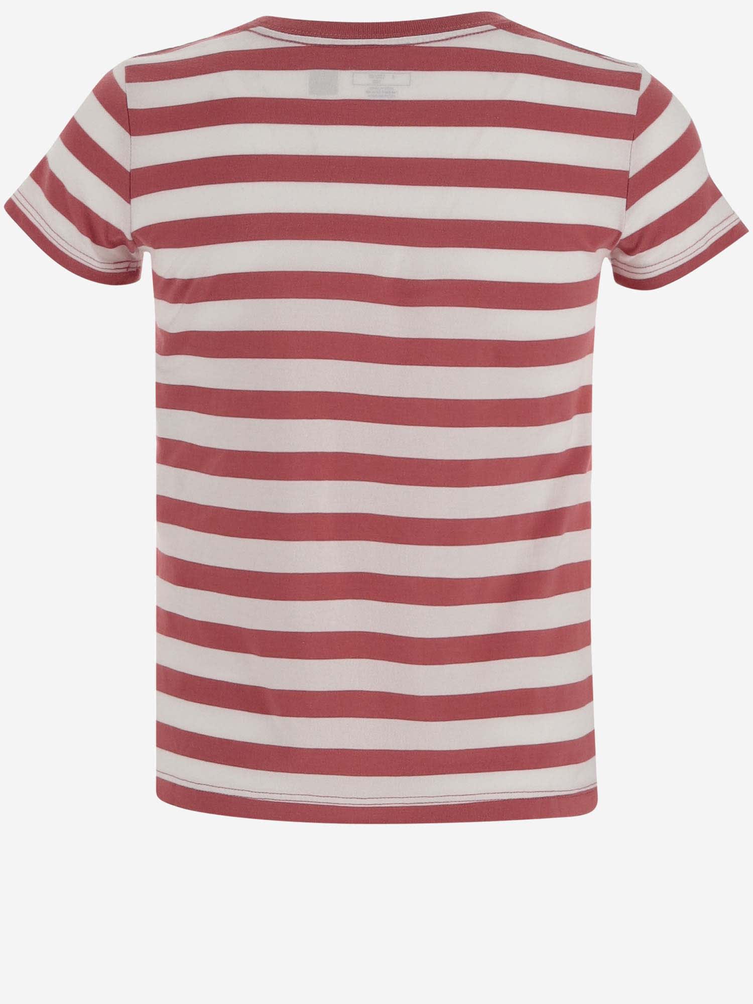 Shop Ralph Lauren Cotton Polo Bear T-shirt In Rosso