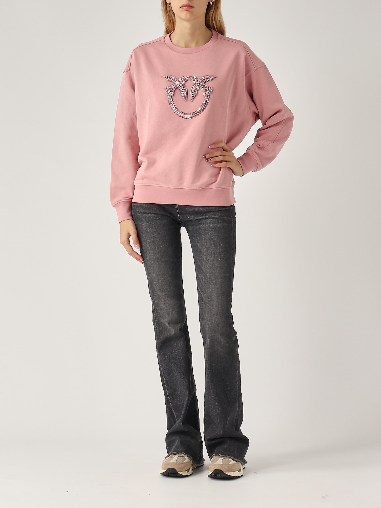 Shop Pinko Nelly Felpa Logo Birds Hoodie In Rosa Antico