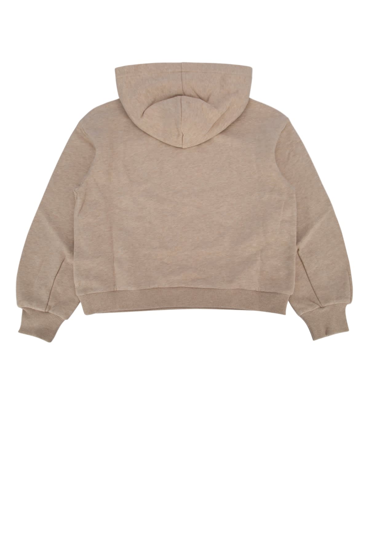 Shop Chloé Cardigan In Beigemarl