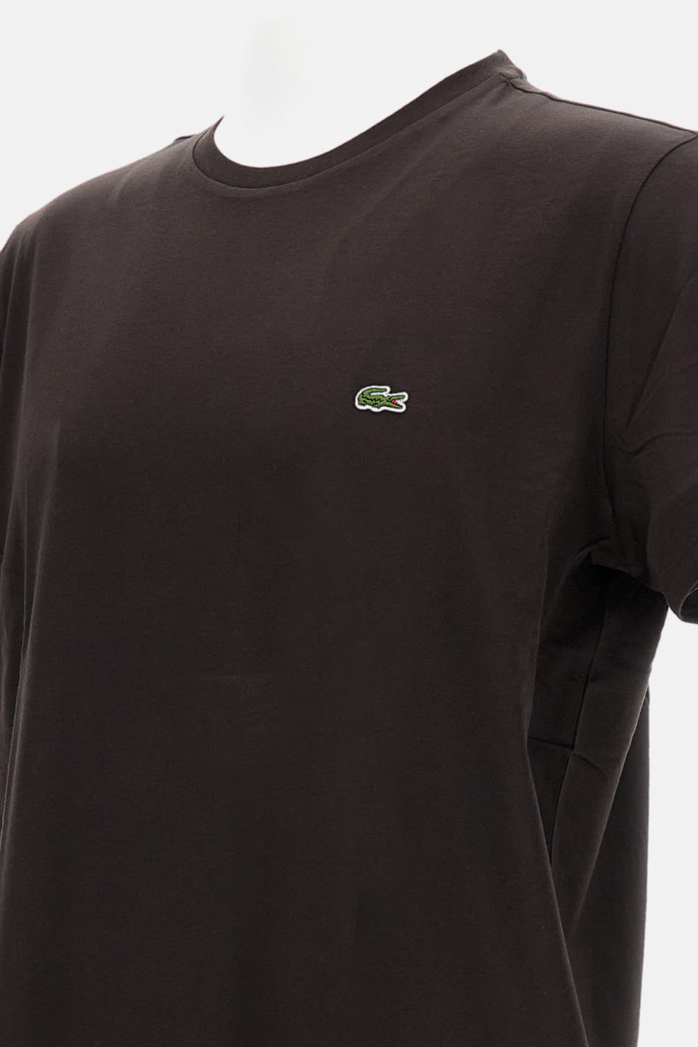 Lacoste T-shirt In Brown