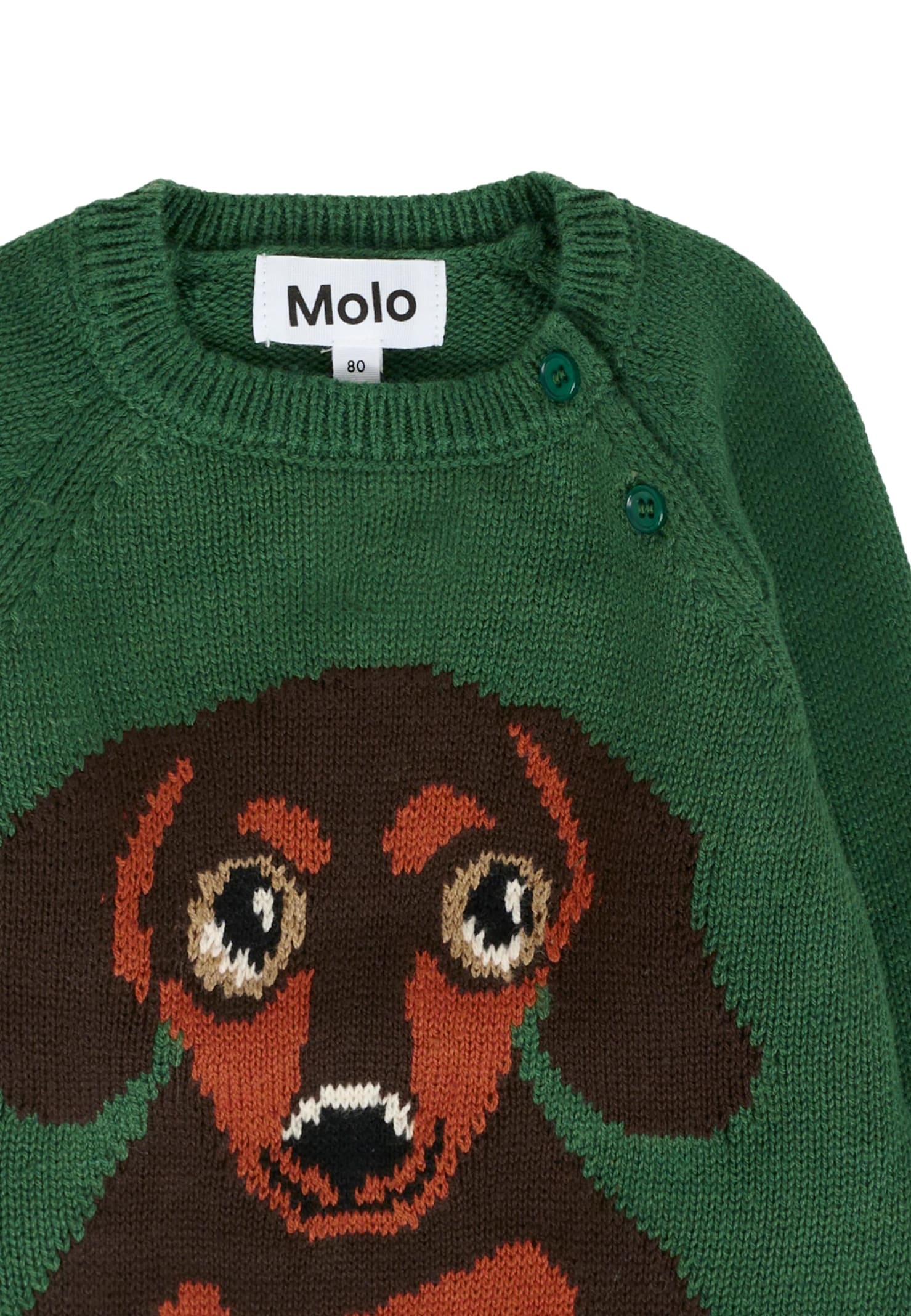 Molo Green Sweater For Babykids With Dog In Green
