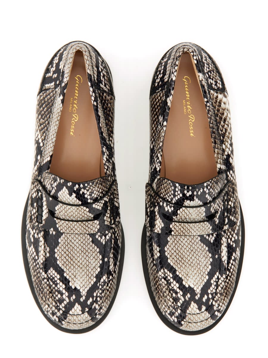 Shop Gianvito Rossi Borneo Leather Loafer In Multicolour